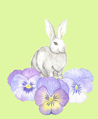 easter bunny with pansies. cute cartoon rabbit