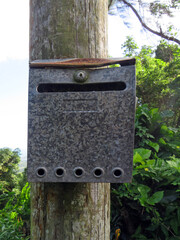 Close up of old metal letter box on tropical tree trunk. Post office and postal delivery of the French Antilles. FWI.