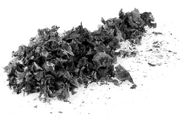 Pile of burnt paper isolated on a white background. Ashes of the paper.