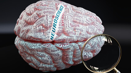 Fototapeta premium Neuroscience in human brain, a concept showing hundreds of crucial words related to Neuroscience projected onto a cortex to fully demonstrate broad extent of this condition,3d illustration