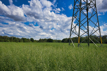 Strommast auf einem Feld, Stromleitung, Strom Leitung über ein Feld und Wolken Himmel, Leipzig,...