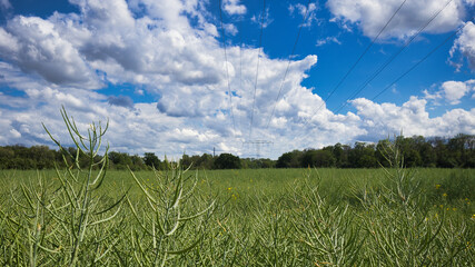 Stromleitung, Strom Leitung über ein Feld und Wolken Himmel, Leipzig, Deutschland