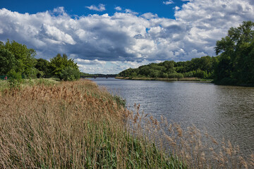 Fluss Ufer mit Schilfgürtel, Schilf, Wolkenhimmel, Leipzig, Deutschland 