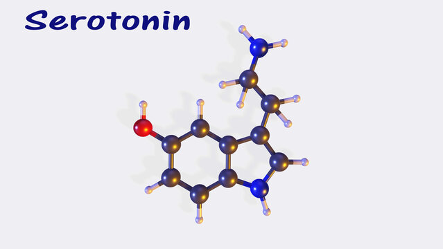 Serotonin chemical formula.
Serotonin chemical molecular structure.
3D image  isolated on white background.