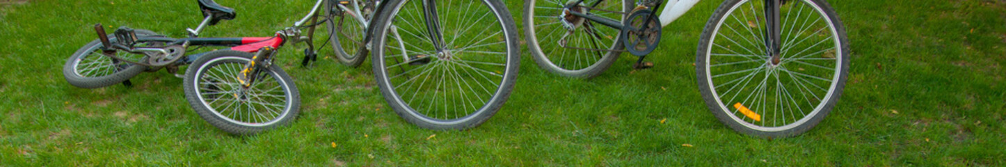 Three bicycles standing on the freshly cut grass in summer