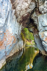 Autumn landscape with river, rock and trees