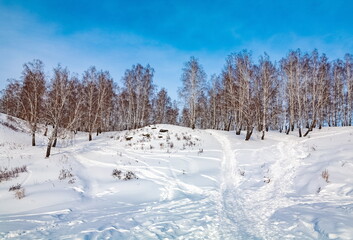 Winter landscape with birch trees on the mountain bank of the river, snow and blue sky with clouds
