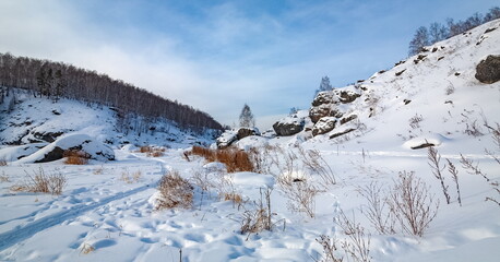 Fototapeta na wymiar Winter landscape with trees and sky from the high rocky river bank