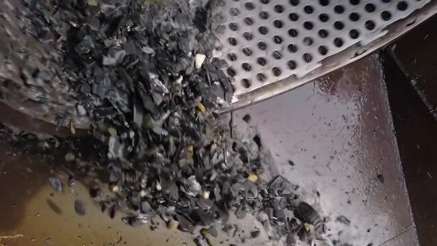 Conveyor machine is processing the scrap material using the trommel screen. Conveyor machine for gold washing is removing the scrap stone material. Conveyor machine is filtering the scrap material.