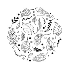 Collection of ornate decorative leaf in circle. Stylized leaves in doodle style for design. Hand drawn decor elements. Set of black line foliage drawing on isolated white backdrop. Vector illustration