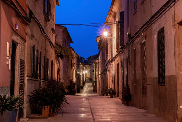 Illuminated alley amidst old residential buildings. Potted plants outside houses in town in dark. Empty street in historic city at night.