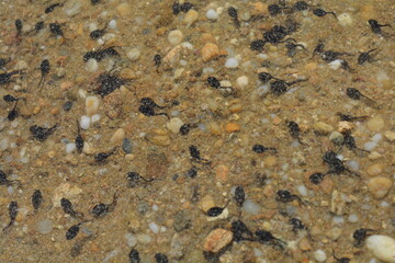 texture of a stone