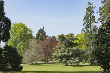 Parc du Thabor à Rennes