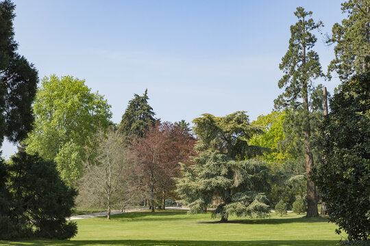 Parc du Thabor &agrave; Rennes
