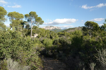 cap andrixol, mallorca