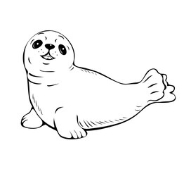 Cute seal. Arctic marine mammal. Friendly waterfowl. Cartoon art black illustration on white background. Hand drawn outline style