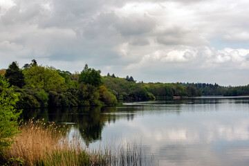 Fototapeta na wymiar Virginia Water Lake in Windsor Great Park, United Kingdom