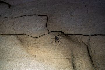 Underground at Mammoth Cave National Park