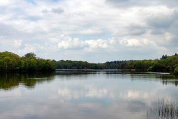 Obraz na płótnie Canvas Virginia Water Lake in Windsor Great Park, United Kingdom