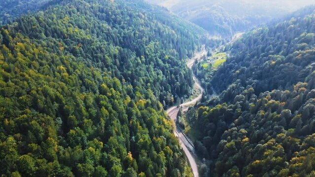 Amazing top aerial view of off road trail in mountains. Mountains in Ukraine. Trees. Beautiful nature. Slow motion
