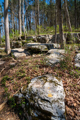 Above Ground at Mammoth Cave National Park
