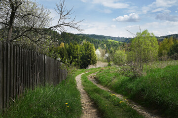 Droga przy drewnianym płocie. © Adam