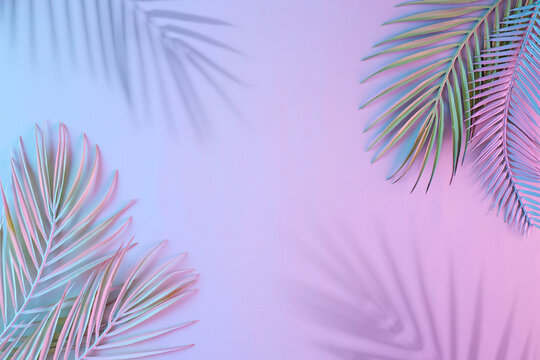 Creative layout made of tropical leaves and shadows in vibrant gradient holographic neon colors. Flat lay. Minimal surreal summer background with copy space. Border arrangement.