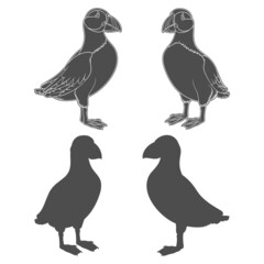 Set of black and white illustrations with puffin bird. Isolated vector objects on a white background.