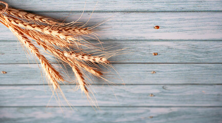 Close up of wheat ears on the wooden table