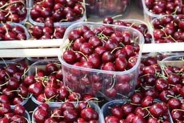 trays of red cherries for sale-