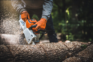 Cordless Chainsaw. Close-up of woodcutter sawing chain saw in motion, sawdust fly to sides. Chainsaw in motion. Hard wood working in forest. Sawdust fly around. Firewood processing. - obrazy, fototapety, plakaty