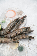 Raw whole fresh uncooked prawns shrimps on decorated ice with lime on gray stone background.