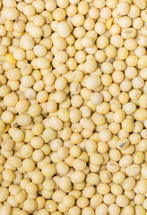 macro soy texture,Close up soybeans background top view using for your advertising