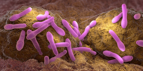 Clostridium botulism pathogens growing on organic tissue - 3d illustration