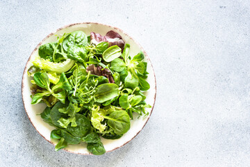 Green salad leaves in white plate at light background. Top view image.