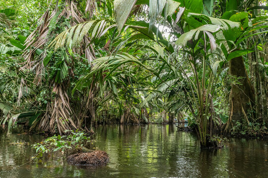 Tortuguero Costa Rica