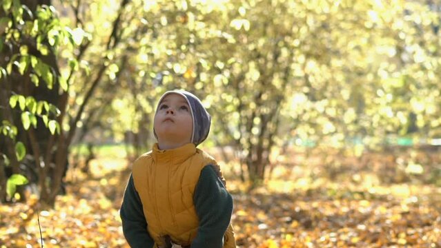 Happy cute little boy having fun while throwing up yellow leaves during outdoor leisure in autumn park, slow motion