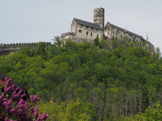 Fototapeta premium Bezdez Castle