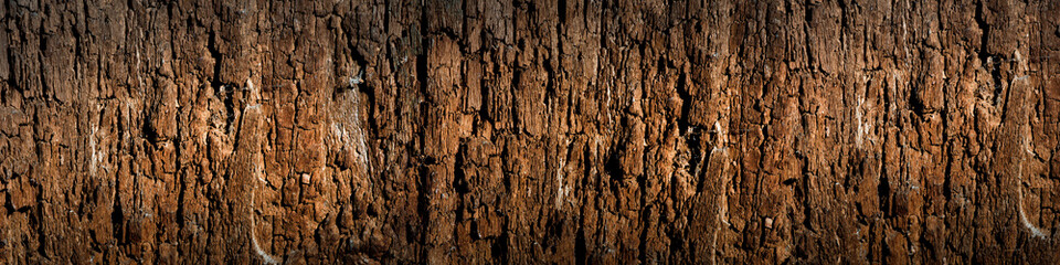 Fototapeta premium Texture of old wood with cracks. Old, cracked wood background, high resolution.