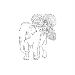 Line Art Elephant with tropical flowers on white background.