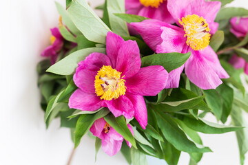 Bouquet of bright pink peonies stand in a vase, space for text.