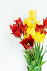 Bouquet of fresh red-yellow tulips on a white background with copy space. Place for an inscription.
