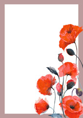 Watercolor red poppies. Composition of red poppies on a white background