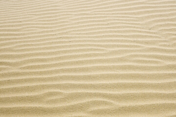 Fototapeta na wymiar Sand ripples created by the wind in the fine beach sand by the sea