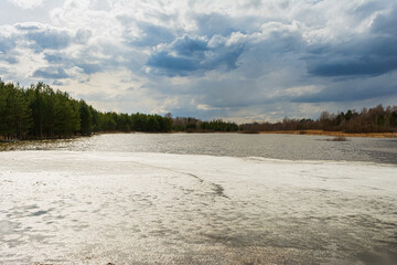 Forest lake partially covered with melting ice, surrounded by pine forest, shrubs and reeds under a gloomy cloudy sky. Nature landscape Spring cloudy evening