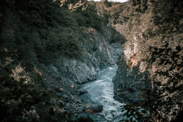 Stormy mountain river flows in the canyon. Strong current. Splashes of water. Stone shores. Sunny day. Beautiful and colorful nature.