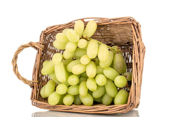 One bunch of white seedless grapes in a basket, close-up, isolated on a white background.