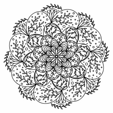 Floral, hand drawn aster mandala flowers in doodle style isolated on white background. Сoloring page for adult and kids, decorating kids playroom or greeting card. Chrysanthemum, Lotus.