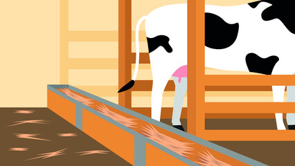 White spotted cow in a stall on a farm - obrazy, fototapety, plakaty