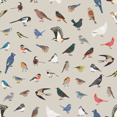 Garden birds vector seamless pattern